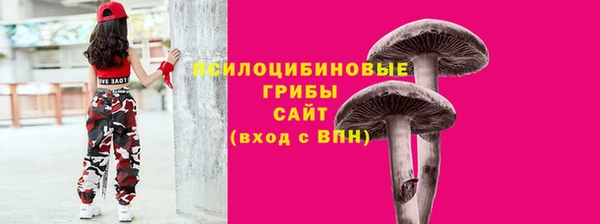скорость Ладушкин