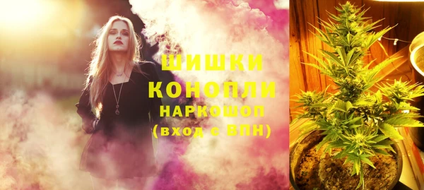 скорость Ладушкин