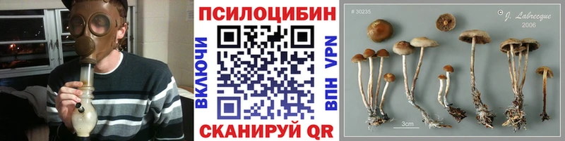 кракен зеркало  цена   Щучье  Псилоцибиновые грибы мухоморы 